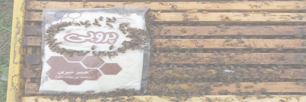 هیدر محصولات خوراک زنبورعسل